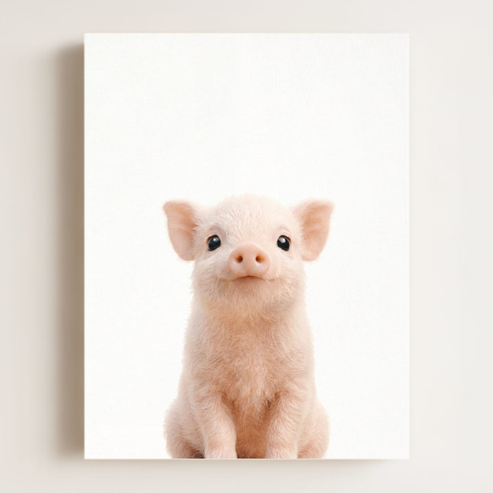 Baby Pig