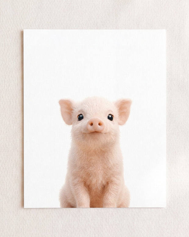 Baby Pig