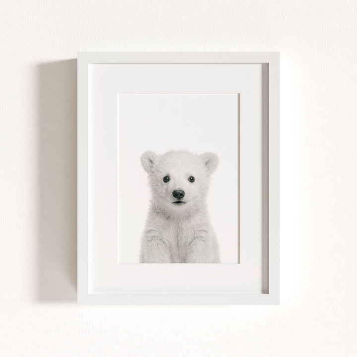 Baby Polar Bear