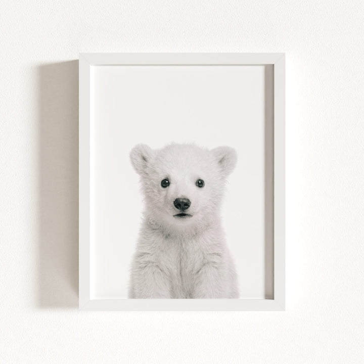 Baby Polar Bear