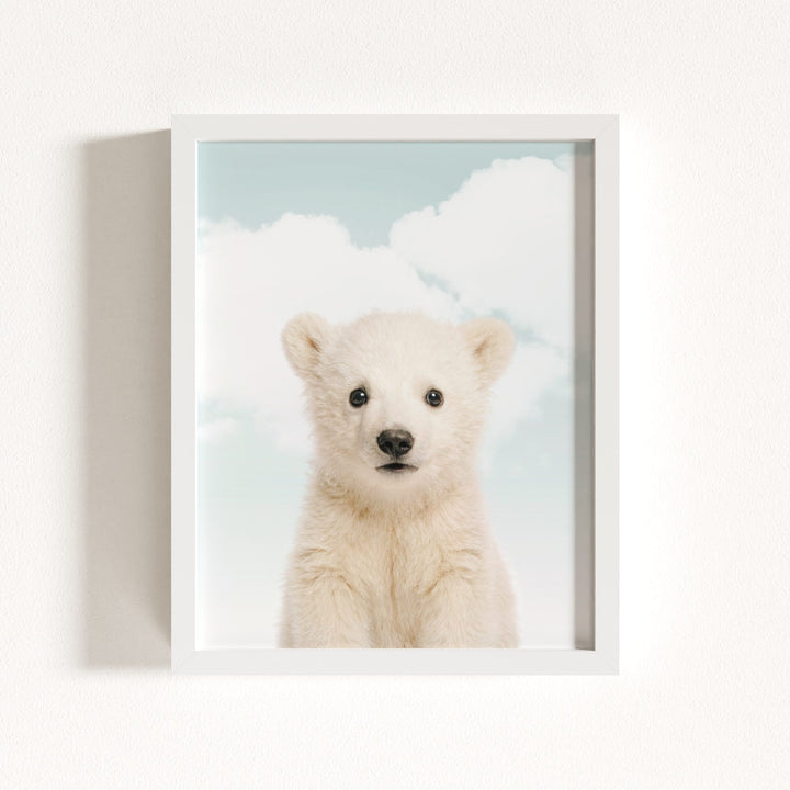 Baby Polar Bear