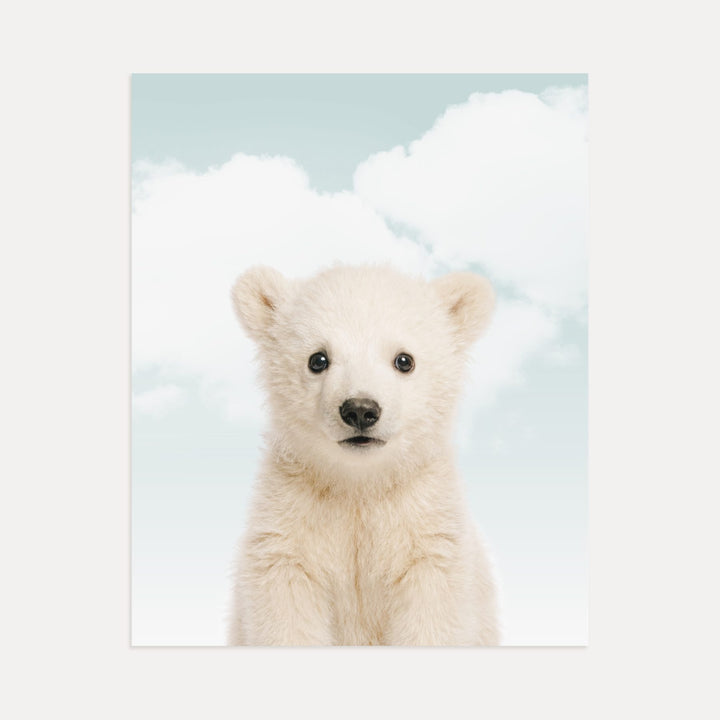 Baby Polar Bear