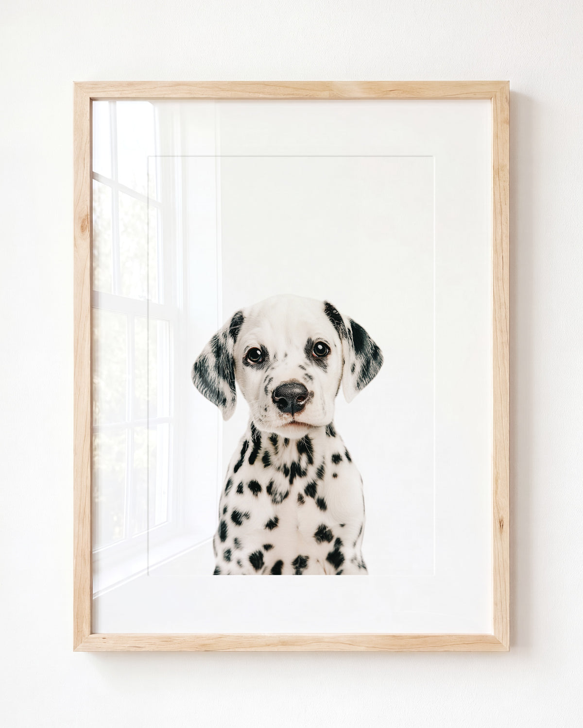 Baby Puppy Dalmatian