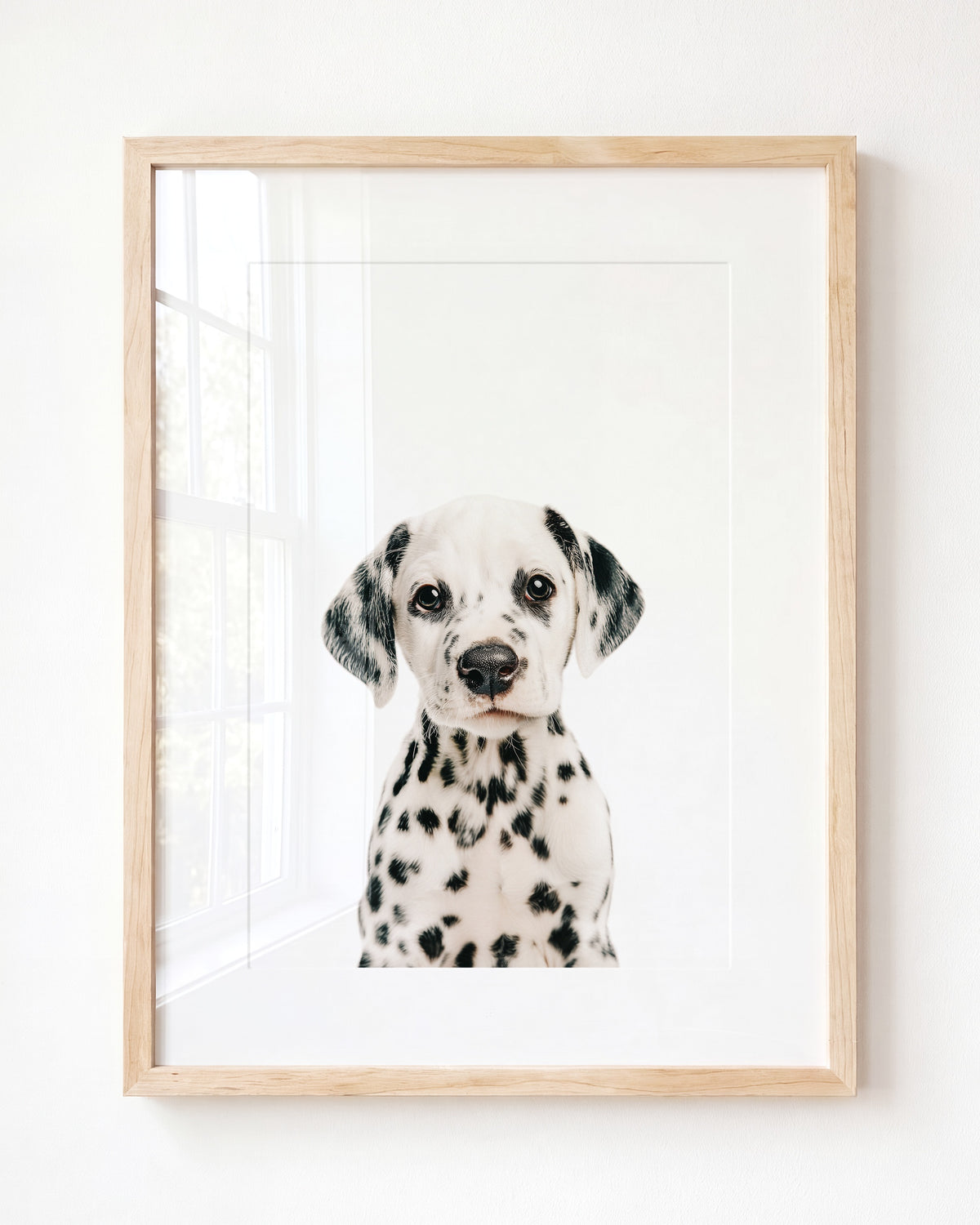 Baby Puppy Dalmatian — Framed Art