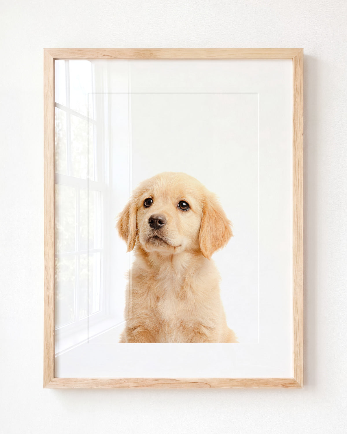 Baby Puppy Golden Retriever Portrait - Framed Art