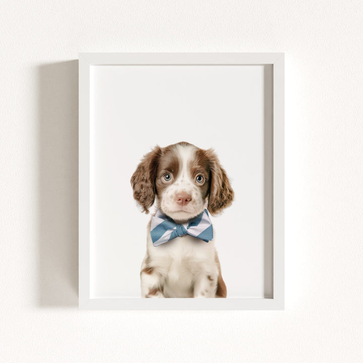 Baby Puppy Springer Spaniel Portrait
