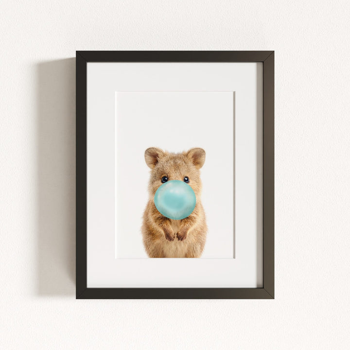 Baby Quokka