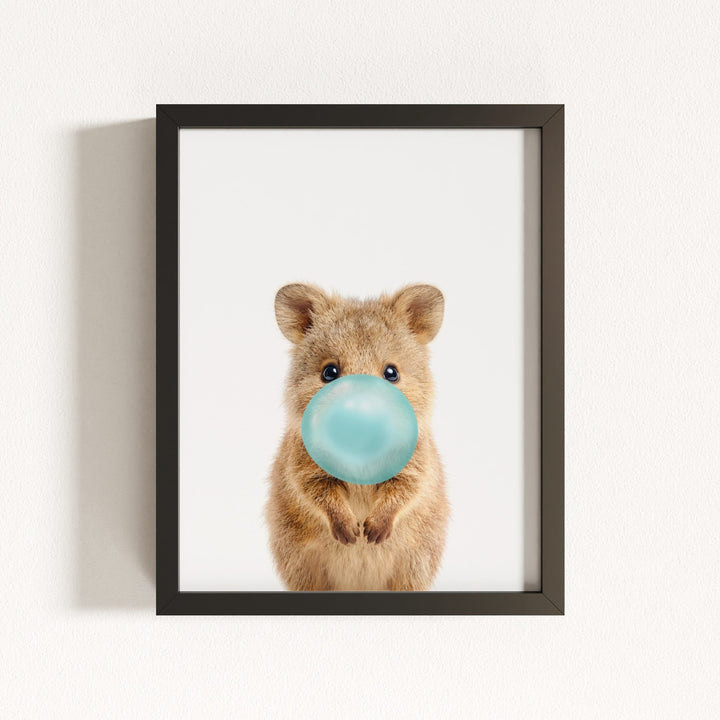 Baby Quokka