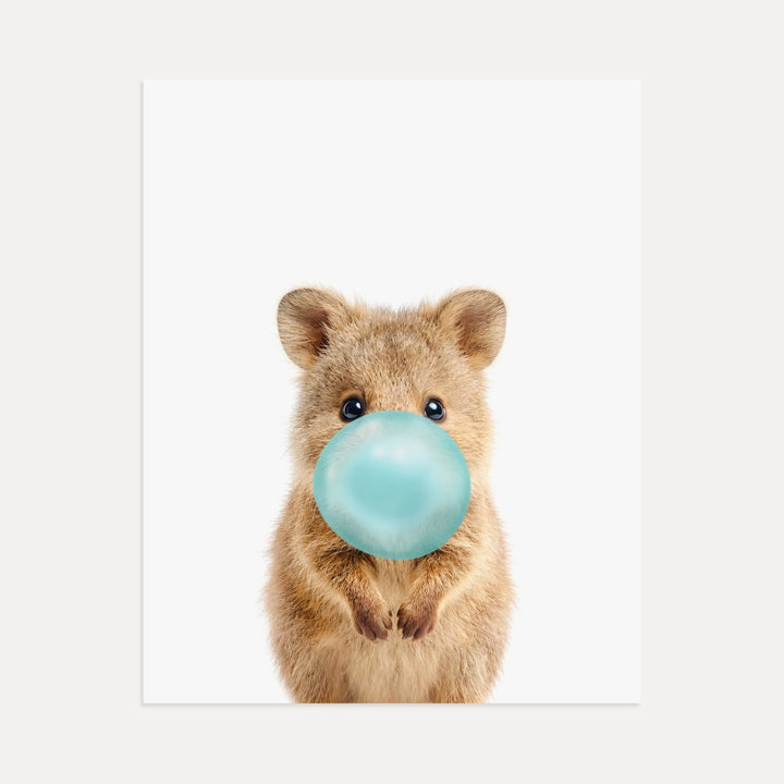 Baby Quokka