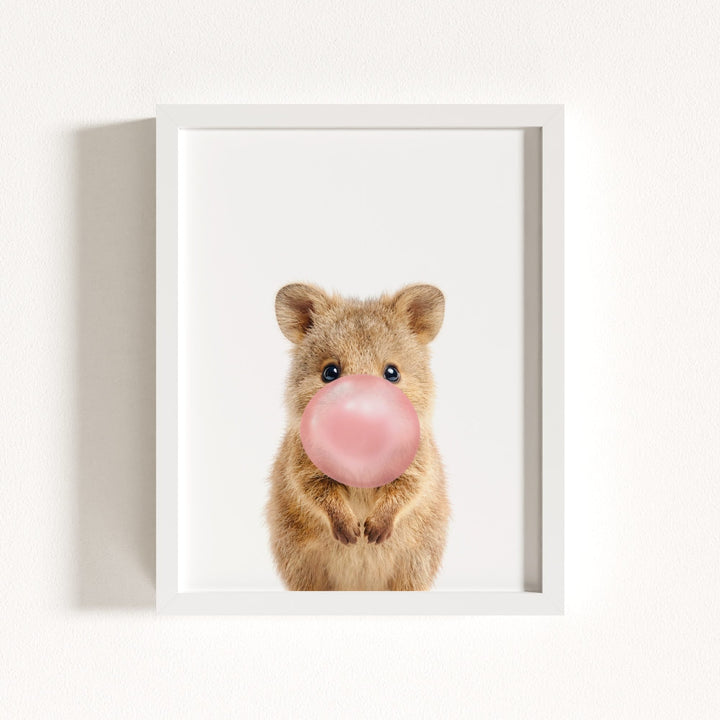 Baby Quokka