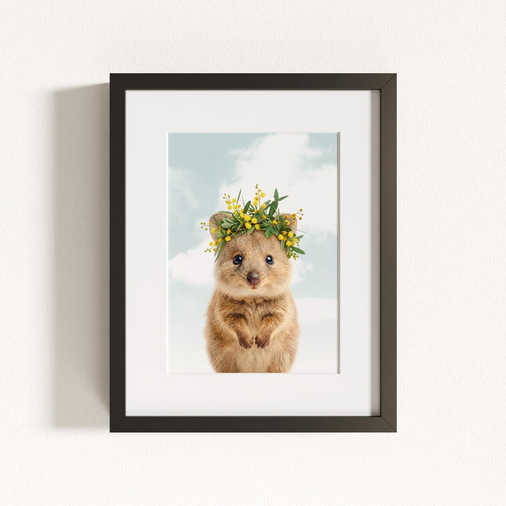 Baby Quokka