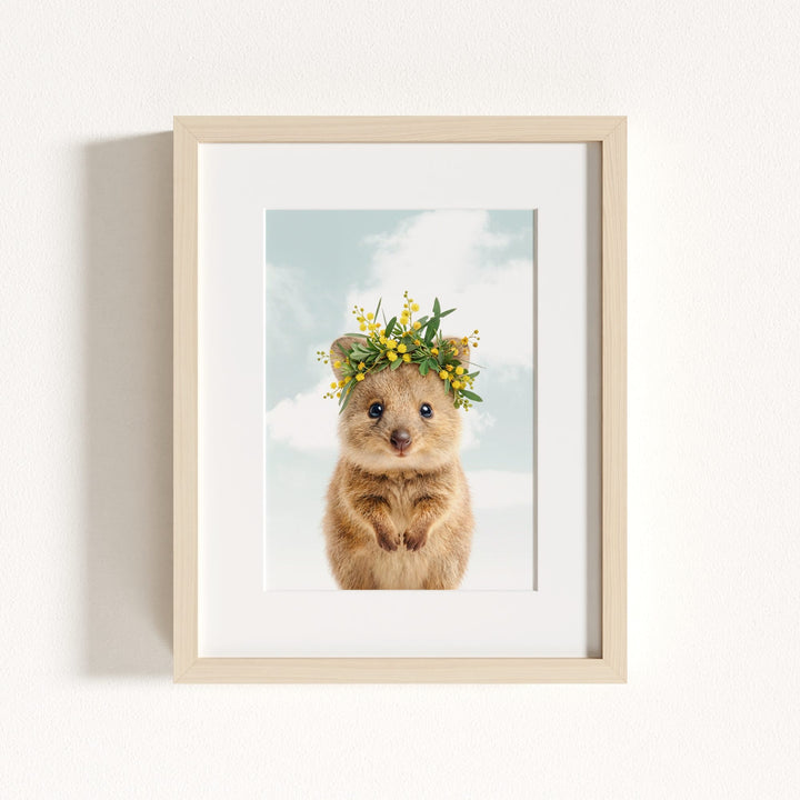 Baby Quokka