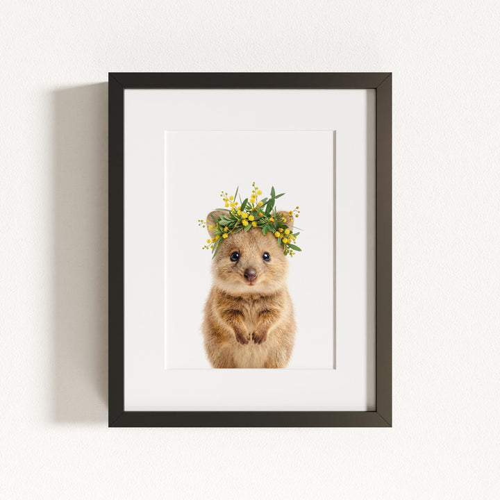 Baby Quokka