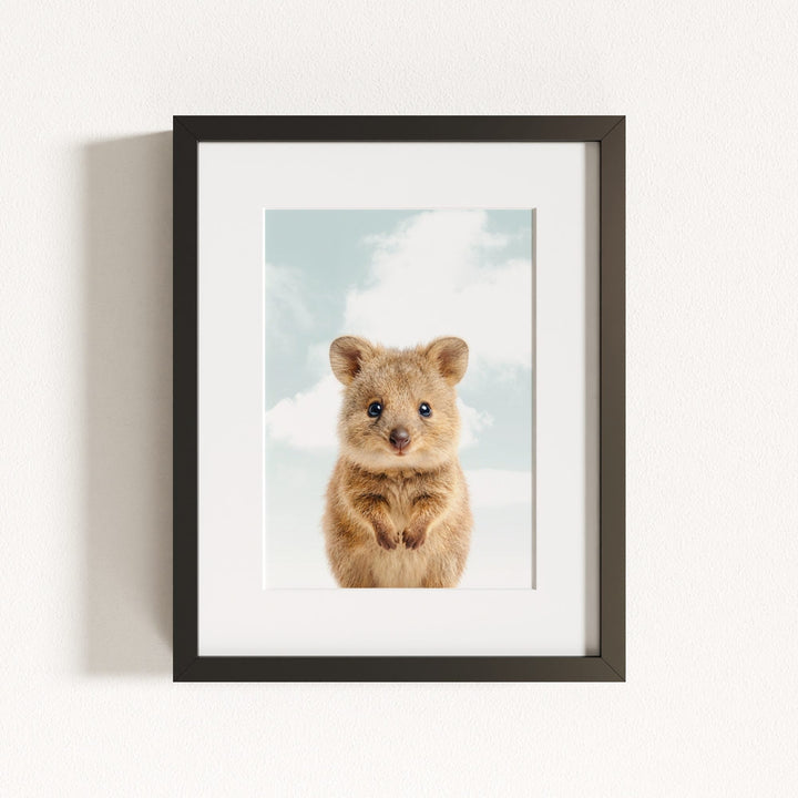 Baby Quokka