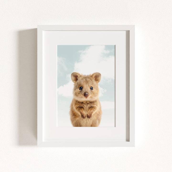 Baby Quokka