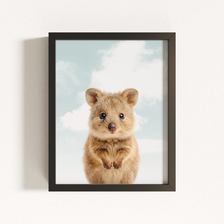 Baby Quokka