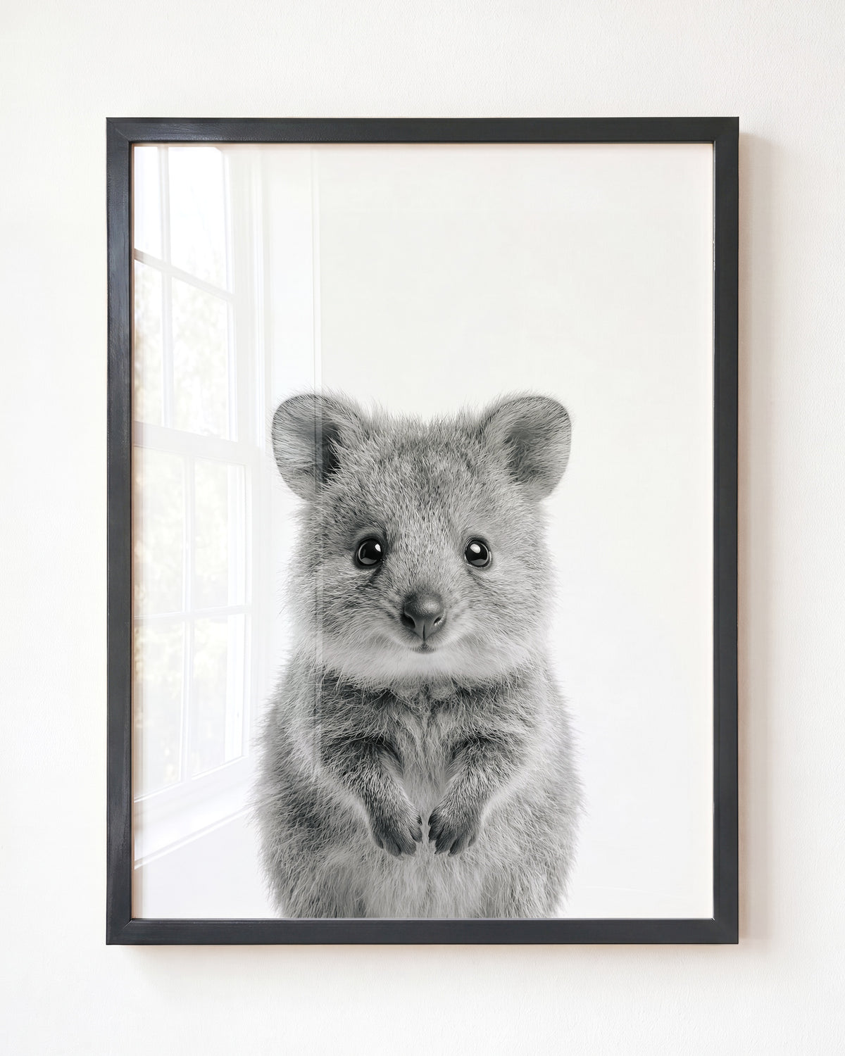 Baby Quokka