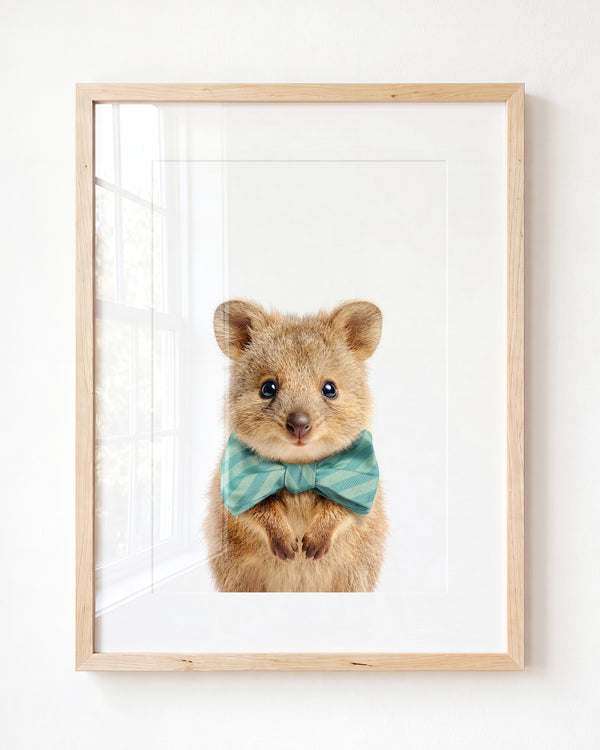 Baby Quokka — Framed