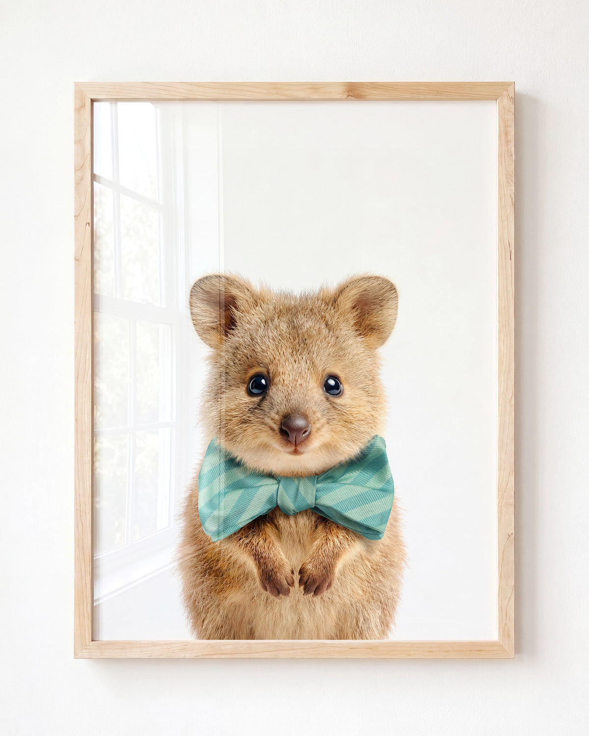 Baby Quokka — Framed