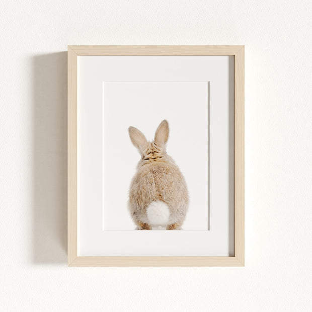 Baby Rabbit Bum