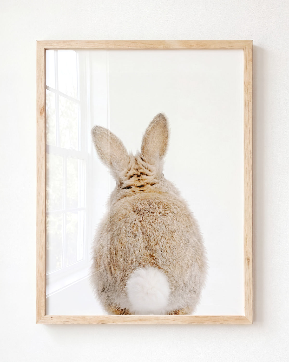 Baby Rabbit Bum — Framed