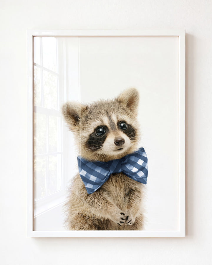 Baby Raccoon — Framed
