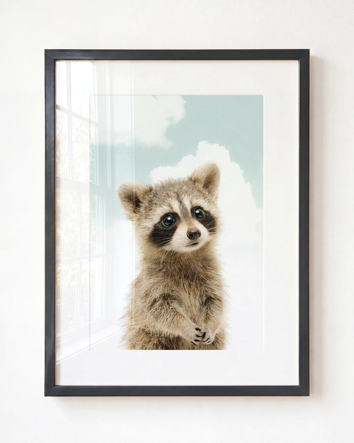 Baby Raccoon — Framed