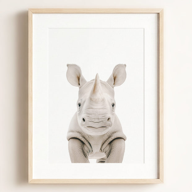 Baby Rhino