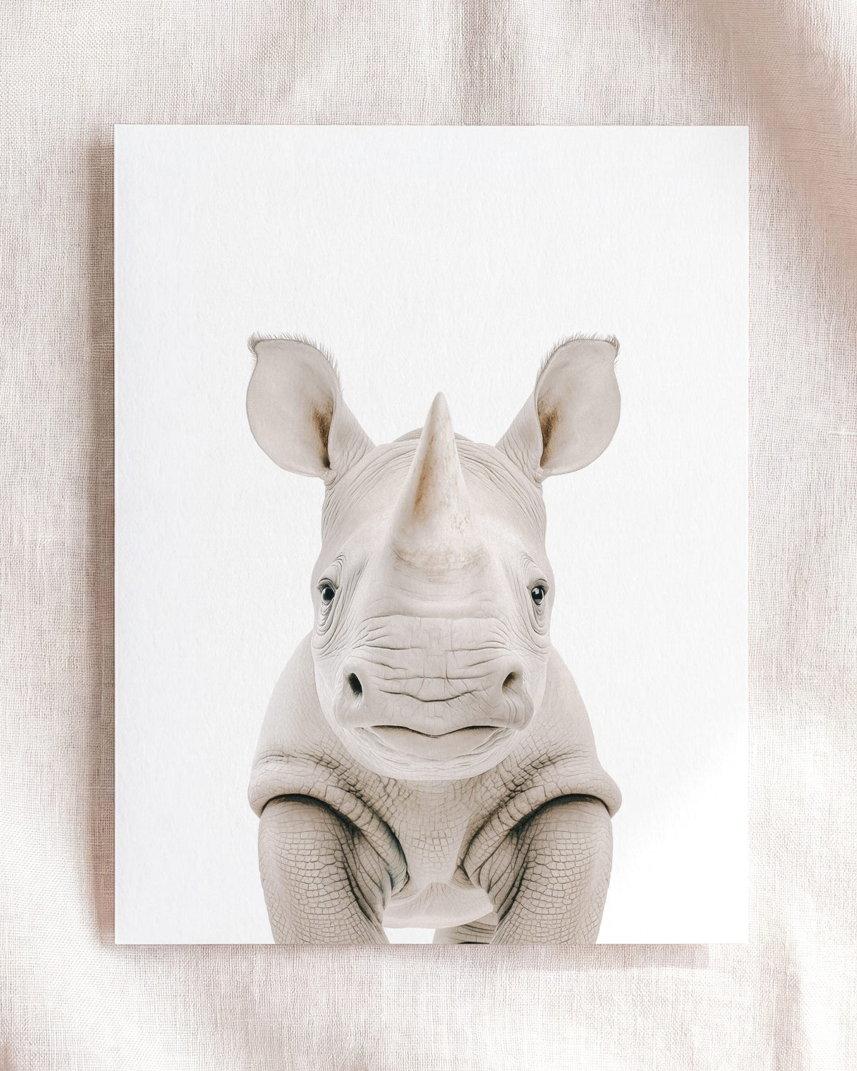 Baby Rhino
