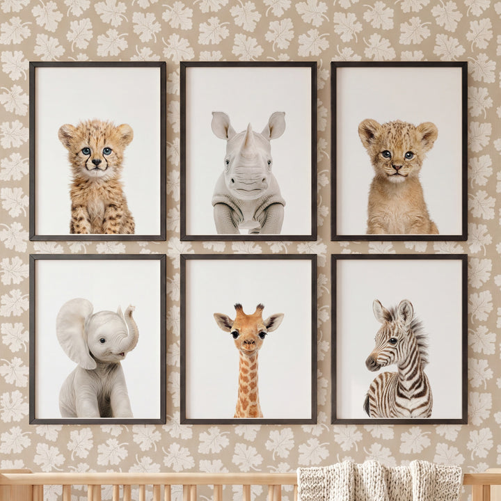 Baby Safari Animals Nursery Decor - African Animals Set of 6 Prints