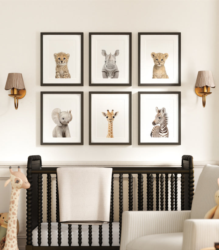 Baby Safari Animals Nursery Decor - African Animals Set of 6 Prints