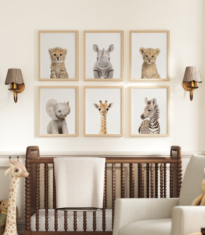 Baby Safari Animals Nursery Decor - African Animals Set of 6 Prints