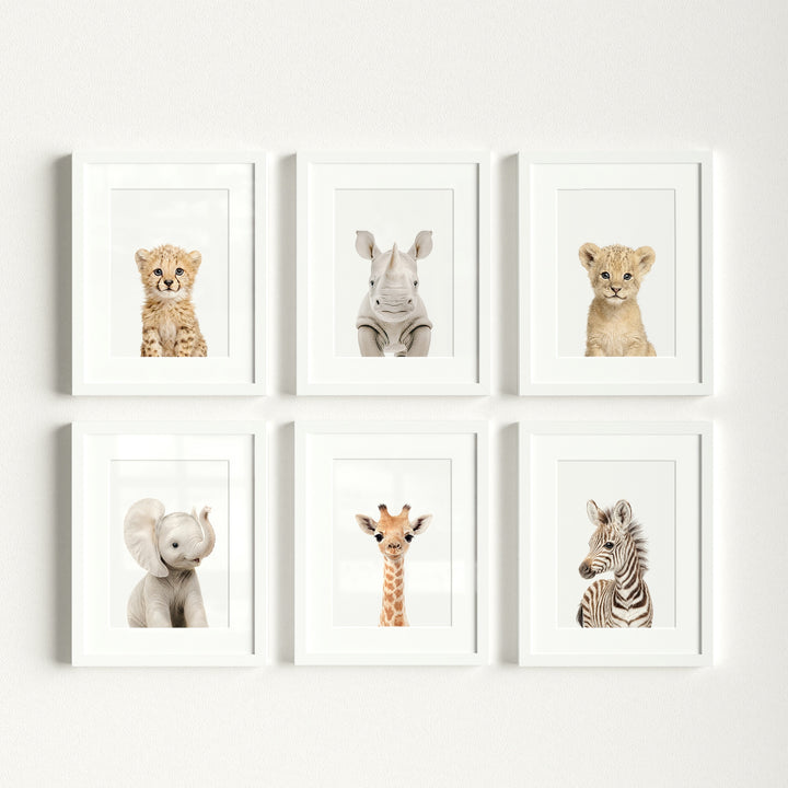 Baby Safari Animals Nursery Decor - African Animals Set of 6 Prints