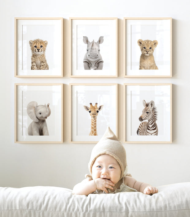 Baby Safari Animals Nursery Decor - African Animals Set of 6 Prints