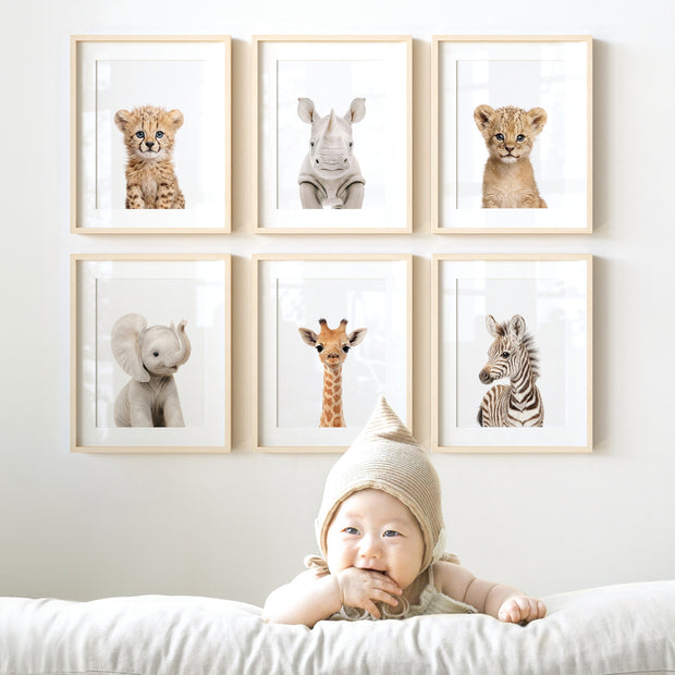Baby Safari Animals Nursery Decor - African Animals Set of 6 Prints