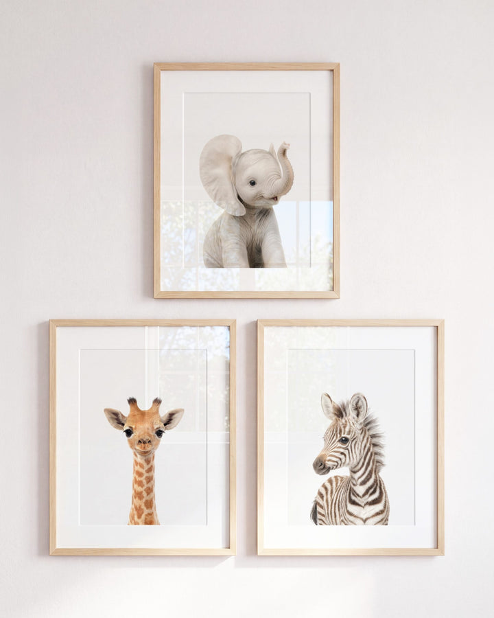 Baby Safari Animals Set of 3 Nursery Art Prints