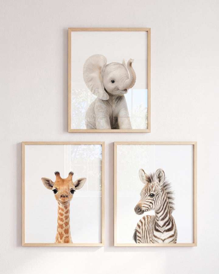 Baby Safari Animals Set of 3 Nursery Art Prints