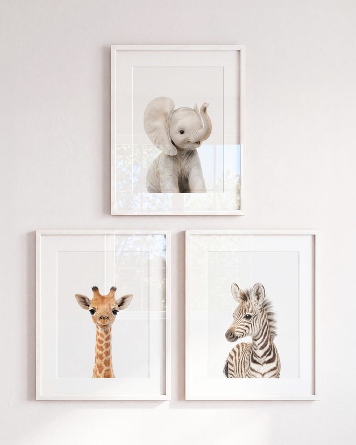 Baby Safari Animals Set of 3 Nursery Art Prints