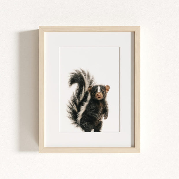 Baby Skunk