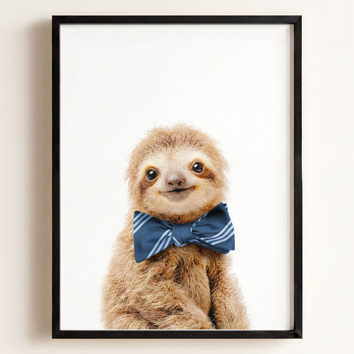 Baby Sloth