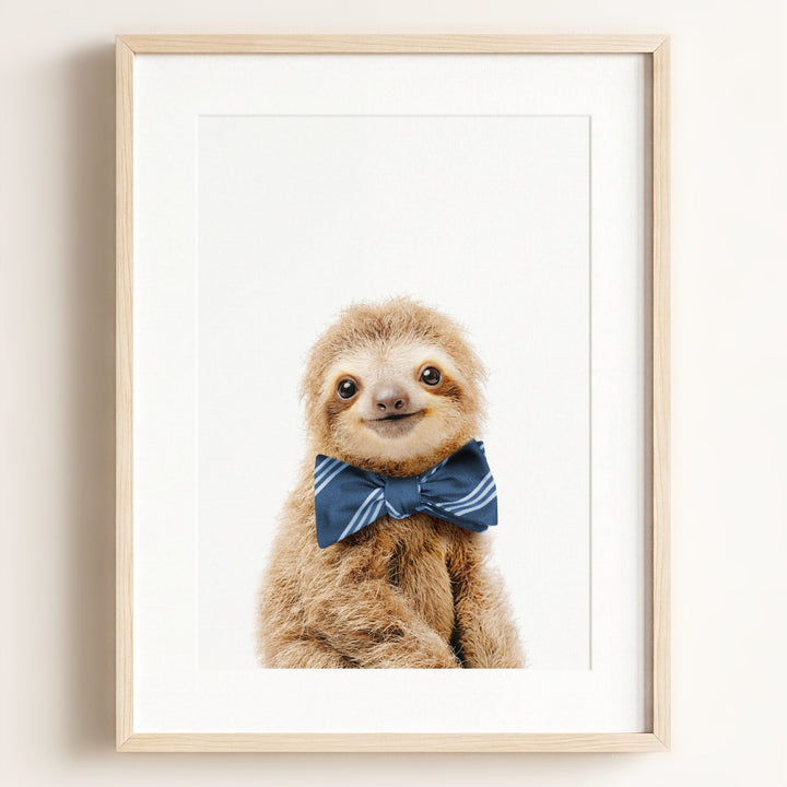 Baby Sloth