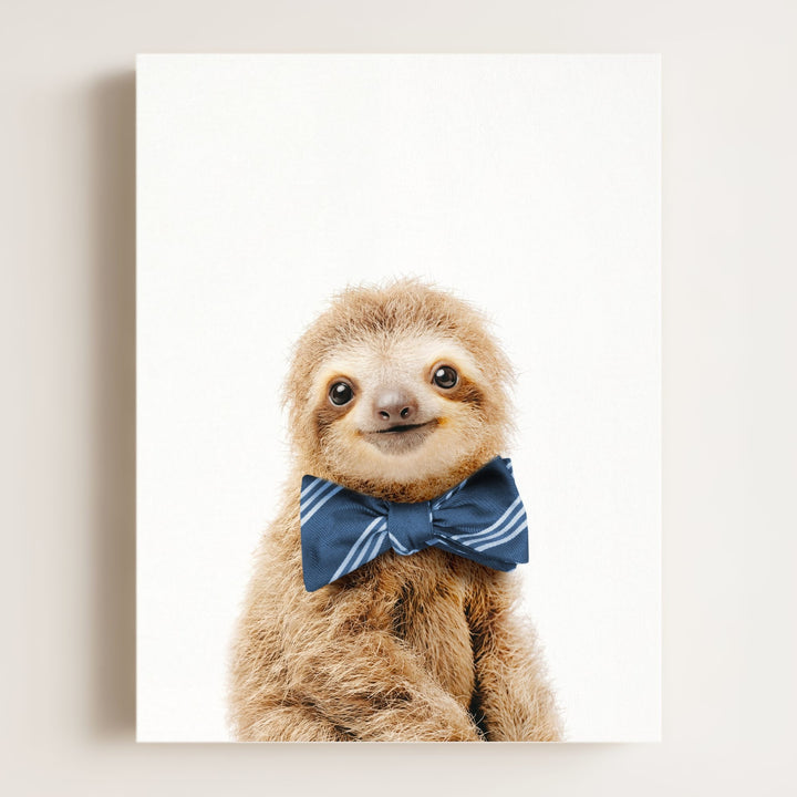 Baby Sloth