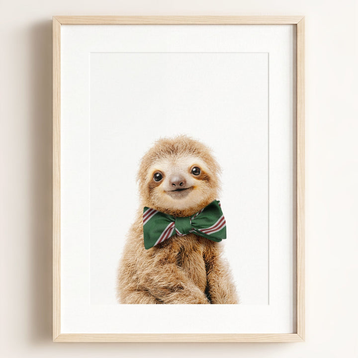 Baby Sloth