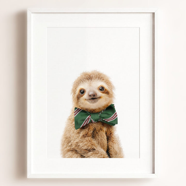 Baby Sloth