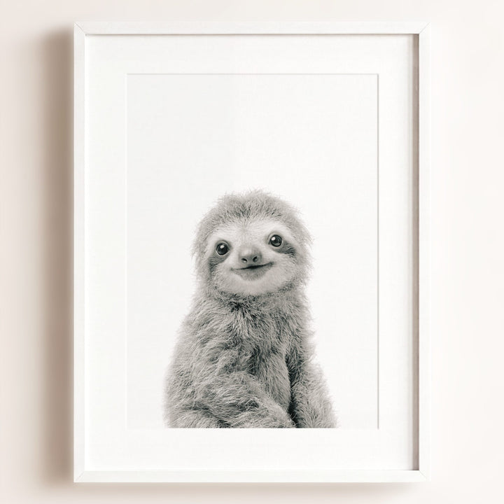 Baby Sloth