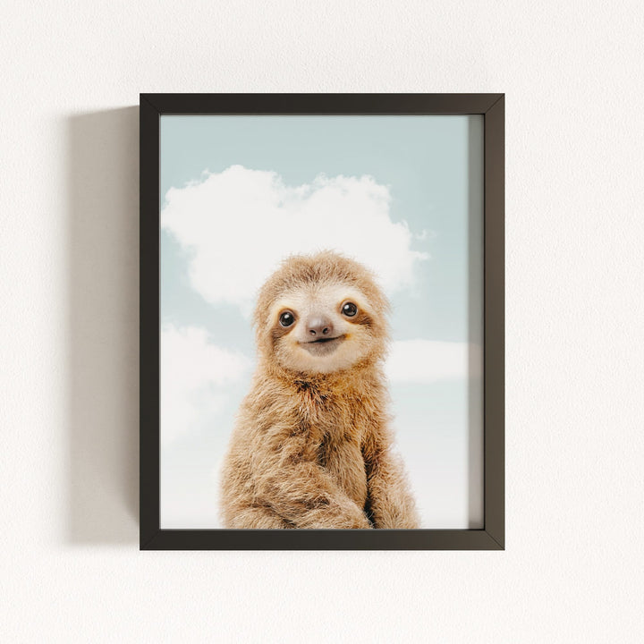 Baby Sloth
