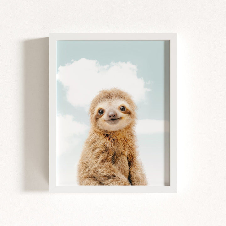 Baby Sloth