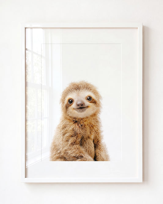 Baby Sloth – Framed