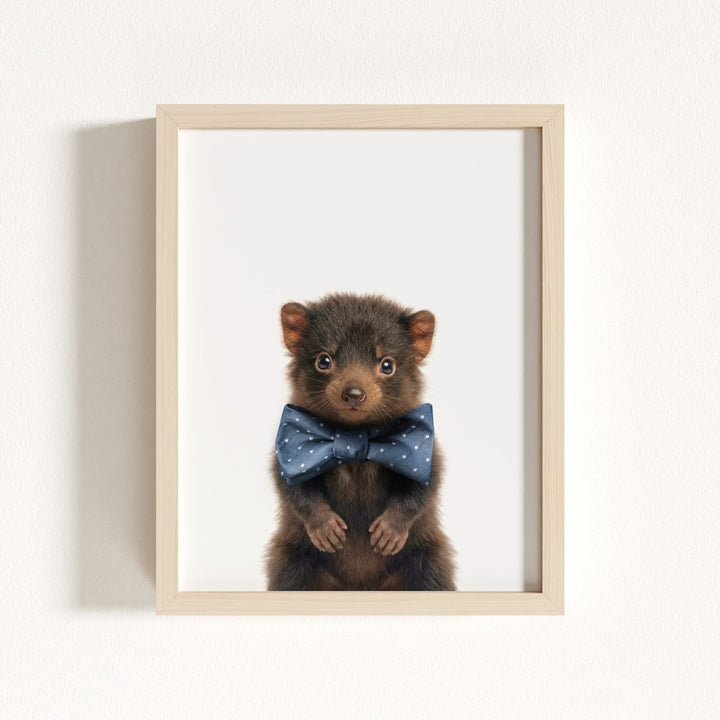 Baby Tasmanian Devil