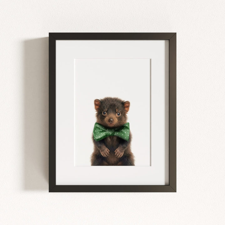 Baby Tasmanian Devil